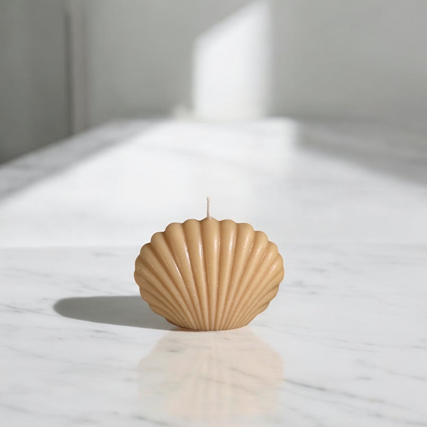Shell Decorative Candle ( Small )