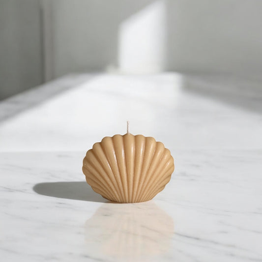 Shell Decorative Candle ( Small )