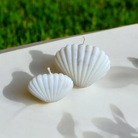 Shell Decorative Candle ( Large )