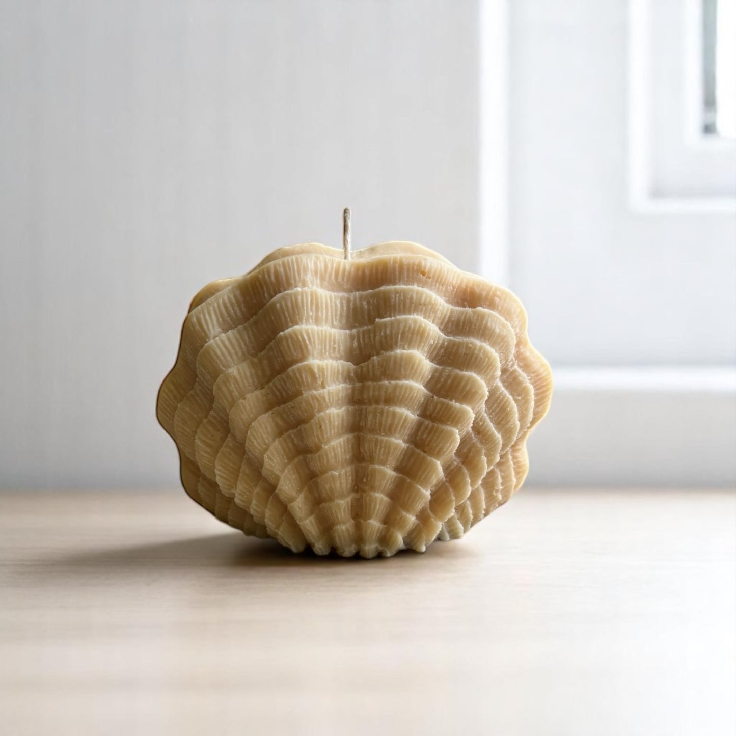 Clam Shell Decorative Candle